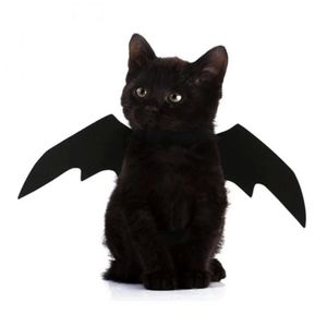 COPY - Cat wings costume Halloween bat photo session black cat bat wings costume